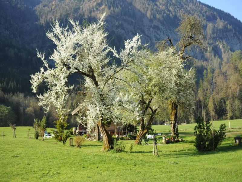 Hansenbauernhof Inkl. Chiemgaukarte Ruhpolding Zewnętrze zdjęcie